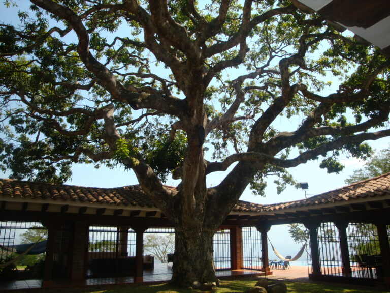 DSC06430
