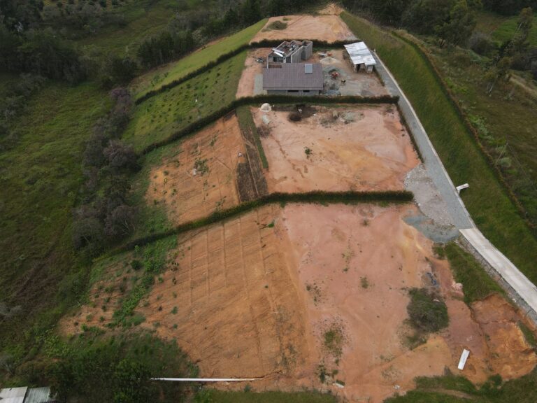 b7a7a426-cba7-469b-8ef6-7d4cca5d95cd